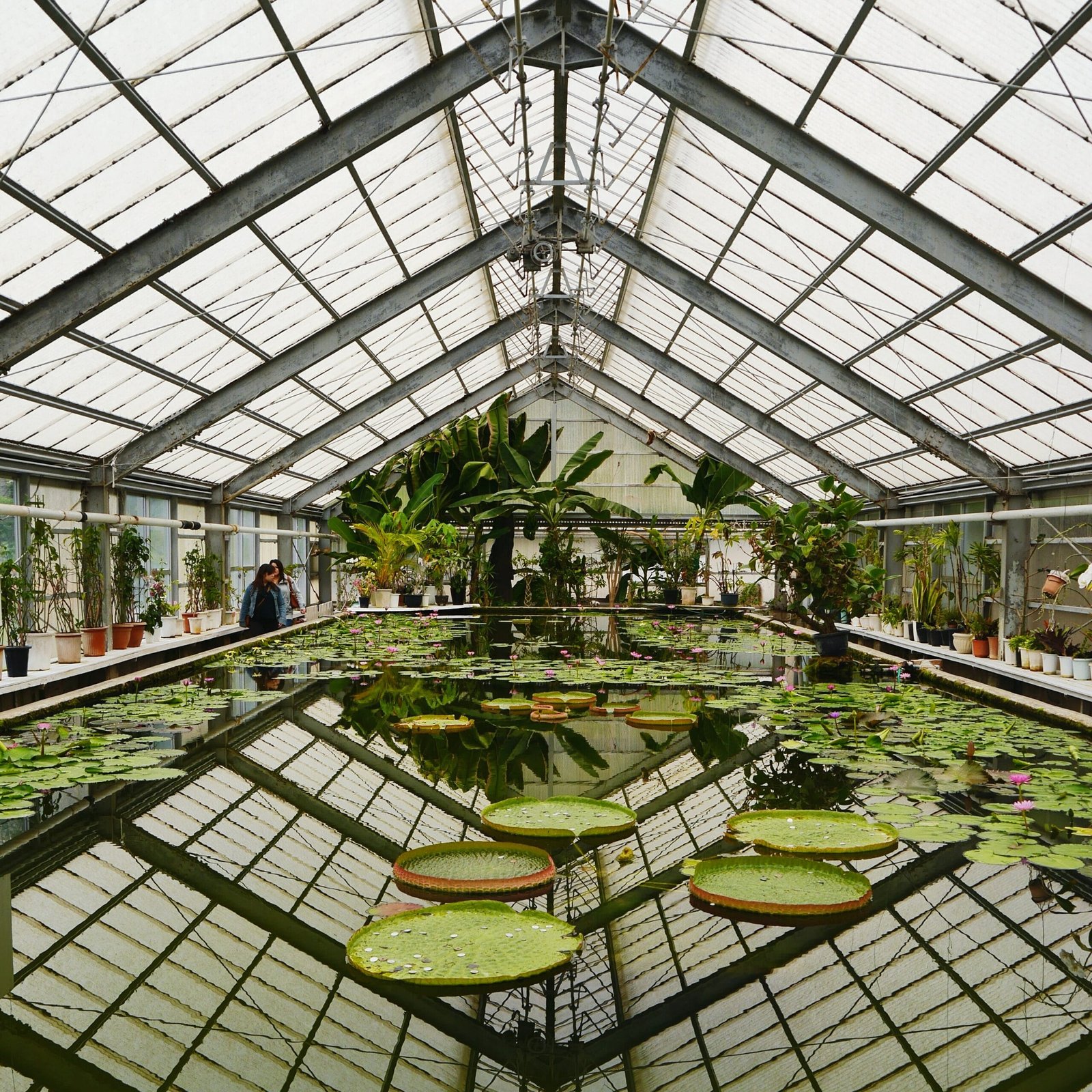 Large Garden Structures