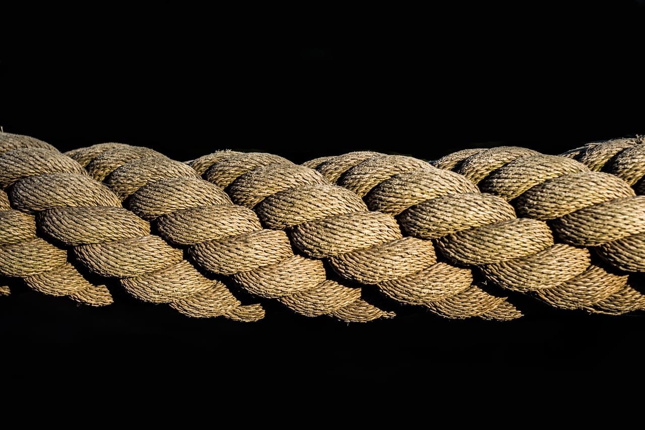 rope, cord, woven, leash, knitting, texture, closeup